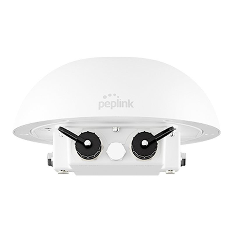 Peplink HD1 Dome Pro